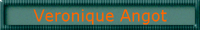 Veronique Angot