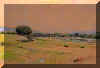 to blue hills.jpg (2972 octets)